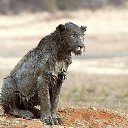 ���� �������, ����� - ��������� 6 ���� 2014 � ������ ������ ��������