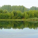 ���� �����, ������ �������� - ��������� 23 ����� 2014 � ������ �������� ������� ��������