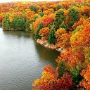 ���� Volk, �������, 46 ��� - ��������� 21 ��� 2014 � ������ ������ ��������