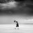 ���� Lonely Soul, ����, 38 ��� - ��������� 31 ���� 2014