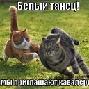 ���� ����, ������ - ��������� 3 ���� 2014 � ������ �))))�