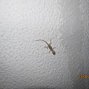 ���� ����������, ������, 58 ��� - ��������� 29 ���� 2014 � ������ ���