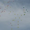 ���� ������, ���� - ��������� 25 ���� 2014 � ������ ������ ��������