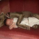 ���� �e� �, ������, 55 ��� - ��������� 13 ���� 2014 � ������ ���� ������