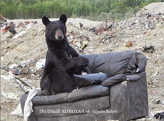 Одинокий мужчина с мебелью ищет даму с жилплощадью!