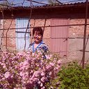 ���� ���������, ����������� - ��������� 31 ���� 2014 � ������ ������ ��������