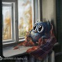 ���� �������, ������ - ��������� 31 ���� 2014 � ������ ������ ��������