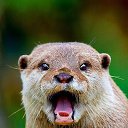 �� ���� ������� ������� �����... �� ������� ���� ����������