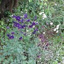 ���� ������, �����-���������, 70 ��� - ��������� 21 ������� 2014 � ������ �����