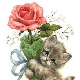 ���� �����, ���������, 55 ��� - ��������� 16 ��� 2014