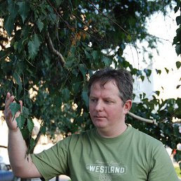 �����, ������, 52 ����