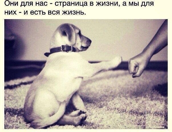   - 24  2014  03:00