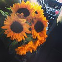 ���� �������, ���������, 54 ���� - ��������� 7 ���� 2014 � ������ ������ ��������
