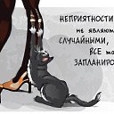 ���� ���������, ��������� - ��������� 29 ����� 2014 � ������ ������ ��������