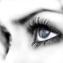 ���� �������, ������ ��������, 22 ���� - ��������� 8 ���� 2014 � ������ ���� ����������