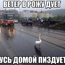���� Bang, �����������, 44 ���� - ��������� 28 ������ 2014 � ������ ������