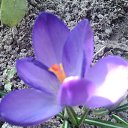 ���� �������, ������, 58 ��� - ��������� 1 ������ 2014 � ������ ��������