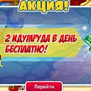 ���� ������ �������, �������, 37 ��� - ��������� 17 ��� 2014 � ������ ������� �����������