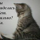 ���� �����, ����������� - ��������� 31 ���� 2014 � ������ ���� ����������