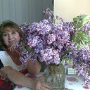  , , 66  -  8  2014    2013-2014