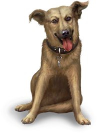 � ���� ����� ������� ���������! � ���� �������! https://fotostrana.ru/away?to=/sl/AWP