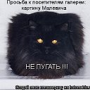  ,  -  13  2014    