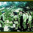 ���� ������, ������, 59 ��� - ��������� 10 ���� 2014 � ������ ����߻