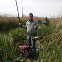  , -, 61  -  11  2014   !!!!!!