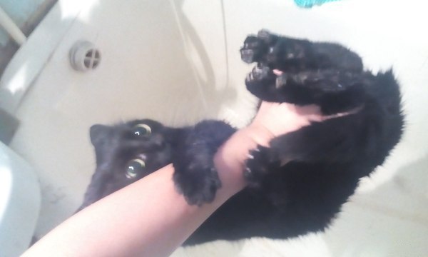     :3