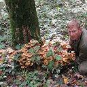 ���� ���������, ��������, 53 ���� - ��������� 9 ������ 2014