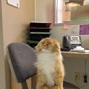 ���� ����, ������ - ��������� 10 ������ 2014 � ������ ���� ����������