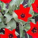 ���� �������, ������ - ��������� 16 ���� 2014 � ������ ������ ��������