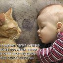 ���� ��������, ������, 51 ��� - ��������� 11 ��� 2014 � ������ ���� ����������