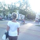 ���� ��� �������, ������, 43 ���� - ��������� 3 ���� 2014 � ������ ���� ����������