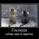 ���� Serg, ������ - ��������� 23 ������ 2014 � ������ ������ ��������