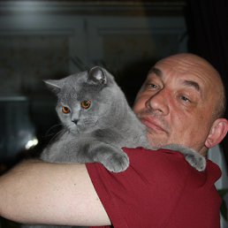 ������, �����-���������, 55 ���