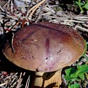 ���� �����, �����, 64 ���� - ��������� 6 ��� 2014 � ������ ������������ ������