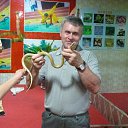  , , 68  -  7  2014    1