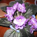 ���� �����, ������ �������� - ��������� 22 ����� 2014 � ������ �������