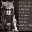 ���� �����, ����, 34 ���� - ��������� 8 ���� 2014 � ������ ������ ��������