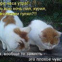 ���� ���������, ��������, 69 ��� - ��������� 1 ������ 2014 � ������ ������ ��������