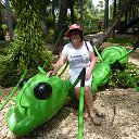 ���� �������, �����������, 70 ��� - ��������� 10 ������� 2014 � ������ ���� ����������