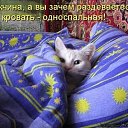  , , 50  -  26  2014     .. ; ))