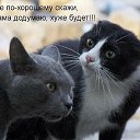 ���� ������, ��������, 62 ���� - ��������� 28 ������ 2014 � ������ ������ ��������
