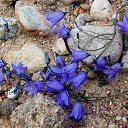 3.07.2014 �� ������� �� ��� - ��������!!!)))�