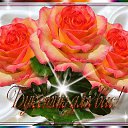 ���� �����, ��������� - ��������� 9 ������ 2014 � ������ ������ ��������