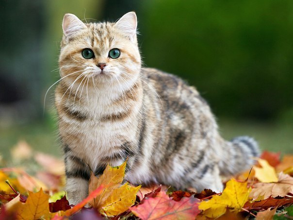 k m m km? - g  m g - u,  mk - uk..=) - 3
