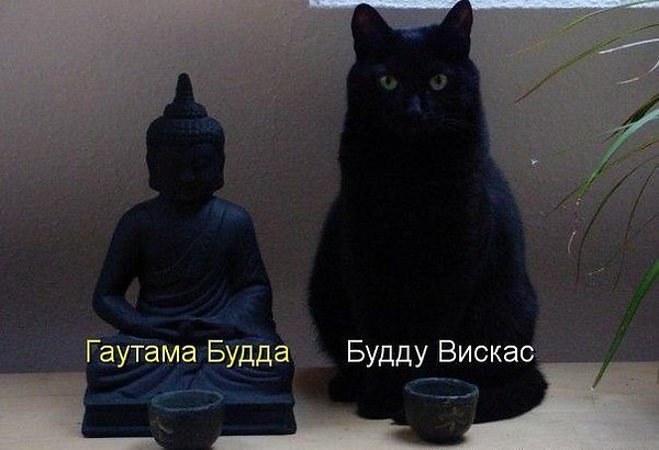   :3 - 5  2014  14:31