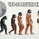 ���� �@ir, ������ ��������, 44 ���� - ��������� 24 ���� 2014 � ������ ������ ��������