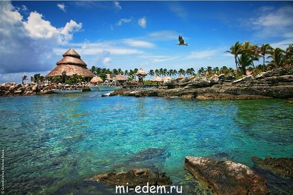 Подписывайтесь на нас: http://fotostrana.ru/public/233467 ;-) Шкарет - Этот удивительный парк ... - 2